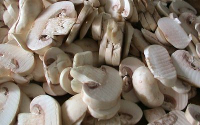 UT Health research shows mushroom extract, AHCC, helpful in treating HPV